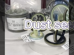 Sello de polvo de caucho DSI LBI LBH VAY DH Tipo diferente Resistente a altas temperaturas