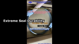 ¿De qué tamaño es el sello de aceite flotante más grande que jamás hayas visto?